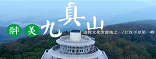 日逼吗尻你逼区