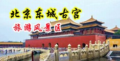 草的我好爽中国北京-东城古宫旅游风景区